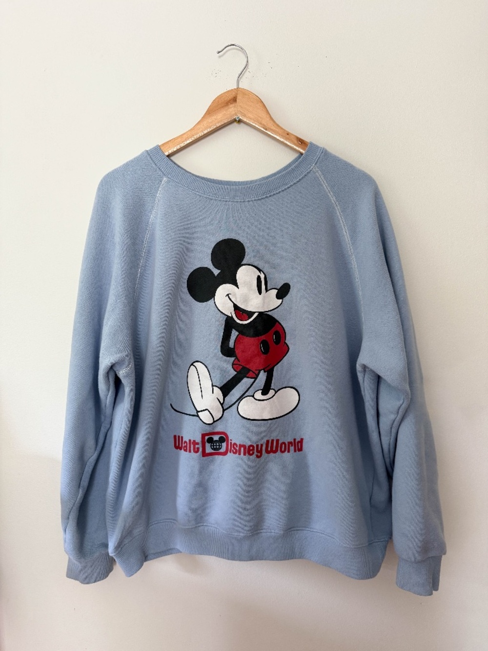 Disney World Parks Mickey Blue Sweatshirt
